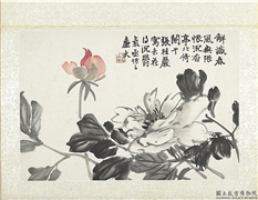 清陆恢动植物逸品册　册　莲荷,绘画,花草