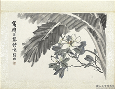 清陆恢动植物逸品册　册　芭蕉栀枝,绘画,树木,花草