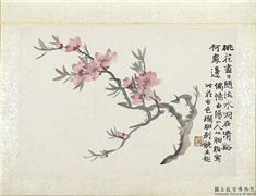 清陆恢动植物逸品册　册　桃花,绘画,花草