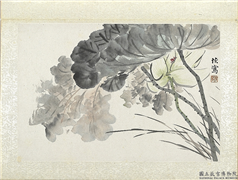 清陆恢动植物逸品册　册　荷花,绘画,花草