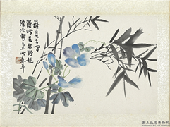 清陆恢动植物逸品册　册　竹牵牛花,绘画,树木,花草