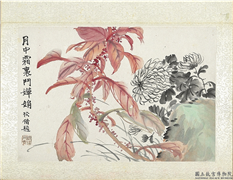 清陆恢动植物逸品册　册　菊花雁来红,绘画,花草,山水
