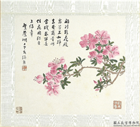 清张熊花卉草虫册　册　（三）,绘画,花草