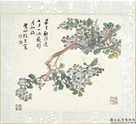 清张熊花卉草虫册　册　（七）,绘画,花草,草虫