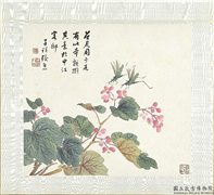 清张熊花卉草虫册　册　（八）,绘画,花草,草虫
