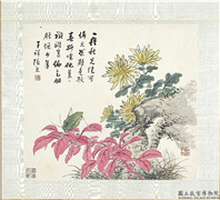 清张熊花卉草虫册　册　（十）,绘画,花草,草虫,山水