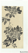 清释达受花卉　册　一,绘画,花草