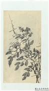 清释达受花卉　册　二,绘画,花草