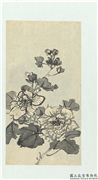 清释达受花卉　册　五,绘画,花草