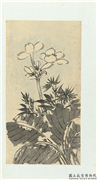 清释达受花卉　册　八,绘画,花草