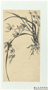 清释达受花卉　册　十,绘画,花草