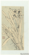 清释达受花卉　册　十一,绘画,花草