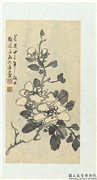 清释达受花卉　册　十二,绘画,花草