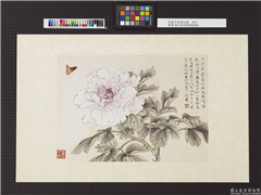 民国于非闇花蝶　单片,绘画,花草,草虫