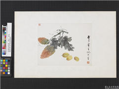 清倪田蔬果　单片　苦瓜,绘画,果蔬