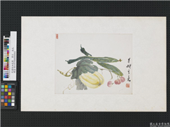 清倪田蔬果　单片　南瓜,绘画,果蔬