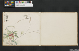 清王素花卉草虫　册页,绘画,花草,草虫