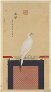 清郎世宁画玉花鹰　轴,绘画,翎毛,器用