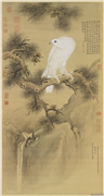清郎世宁白鹘图　轴,绘画,翎毛,树木,山水
