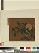 名绘集珍　册　无款香实垂金,绘画,果蔬