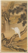 清郎世宁画白鹰　轴,绘画,翎毛,山水,树木