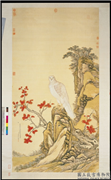 清艾启蒙画白鹰　轴,绘画,翎毛,树木,花草