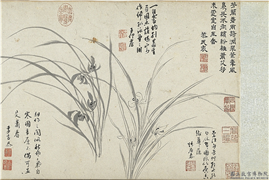 明周天球墨兰　卷,绘画,花草