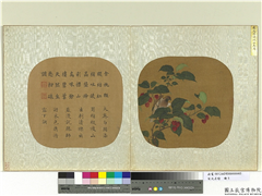 宋元名绘　册　宋赵昌樱桃山鸟图,绘画,树木,翎毛