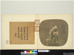 唐刁光胤写生花卉　册　水仙倚石上有积雪,绘画,山水,花草