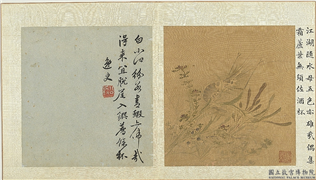 明孙龙写生　册　荇藻鱼虾,绘画,水中动植物