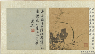 明孙龙写生　册　草石蜻蜓,绘画,草虫,山水,花草