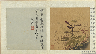 明孙龙写生　册　草虫,绘画,草虫,花草