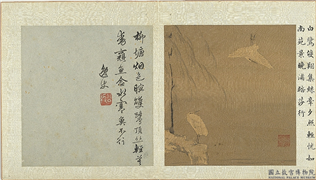 明孙龙写生　册　柳塘白鹭,绘画,翎毛,树木