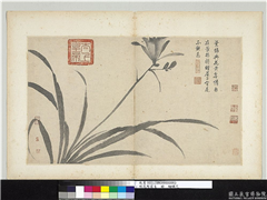 明沈周写生　册　萱,绘画,花草