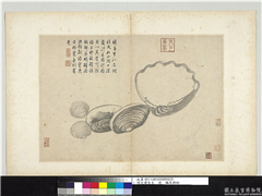 明沈周写生　册　蛎房与蛤,绘画,水中动植物