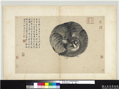 明沈周写生　册　猫,绘画,走兽