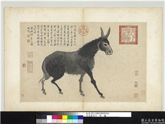 明沈周写生　册　驴,绘画,走兽