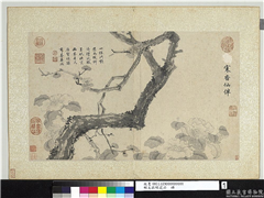 明文徵明花卉　册　寒香仙伴,绘画,花草