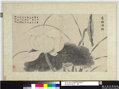 明文徵明花卉　册　芳塘净植,绘画,花草