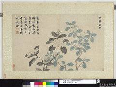 明文徵明花卉　册　南国联芬,绘画,花草