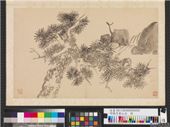 明陈淳画山水　册　蟠松临涧,绘画,树木,山水