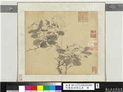 明陈栝四时花卉　册　山茶,绘画,花草