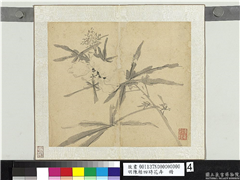 明陈栝四时花卉　册　秋葵,绘画,花草