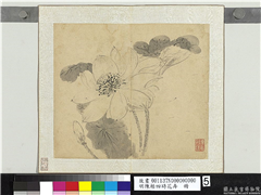 明陈栝四时花卉　册　荷,绘画,花草