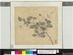 明陈栝四时花卉　册　栀子,绘画,花草