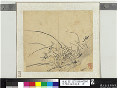 明陈栝四时花卉　册　兰,绘画,花草