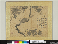 明钱谷杂画　册　葡萄松鼠,绘画,果蔬,走兽