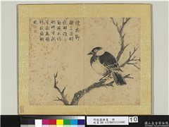 明钱谷杂画　册　古木乌鸦,绘画,翎毛,树木