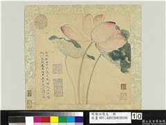 明陆治写生　册　西子新妆,绘画,花草