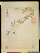 明项圣谟写生　册　碧桃花,绘画,花草